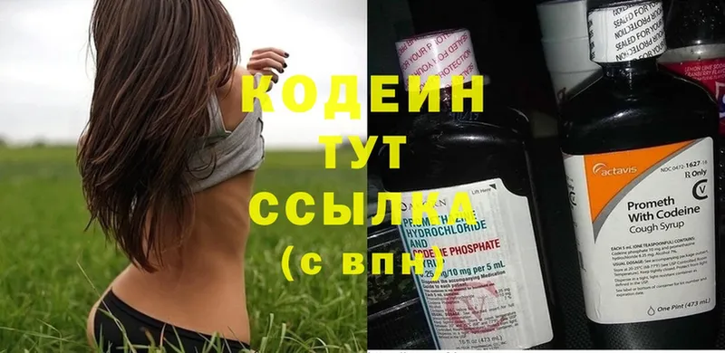 где купить наркотик  Апатиты  Кодеиновый сироп Lean Purple Drank 